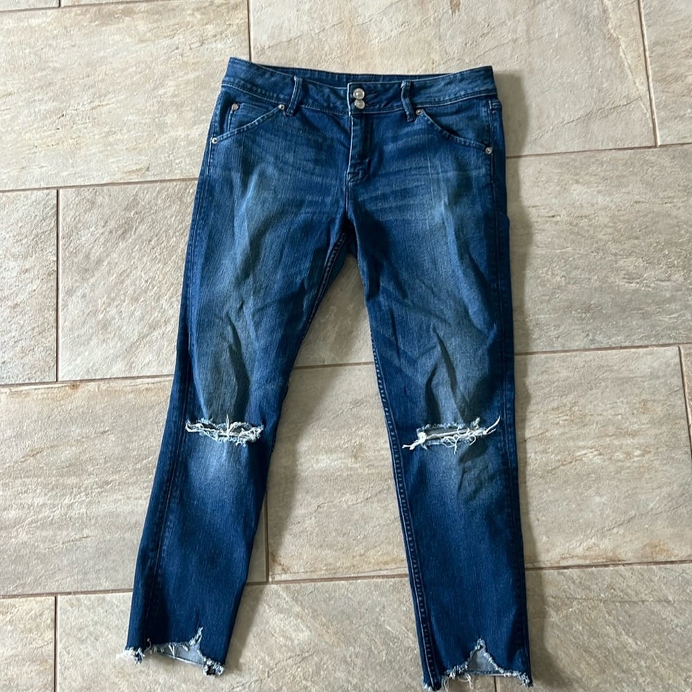 Hudson Cropped Cute jeans